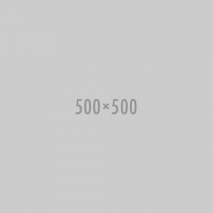 500x500